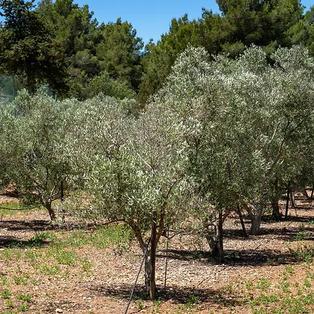 New Samavara 6 Bedrooms Holistic Luxury Retreat In Ibiza * 산타 에우랄리아 데 리오